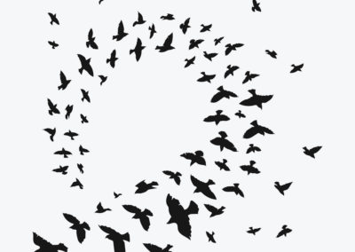 Birds of a Feather
