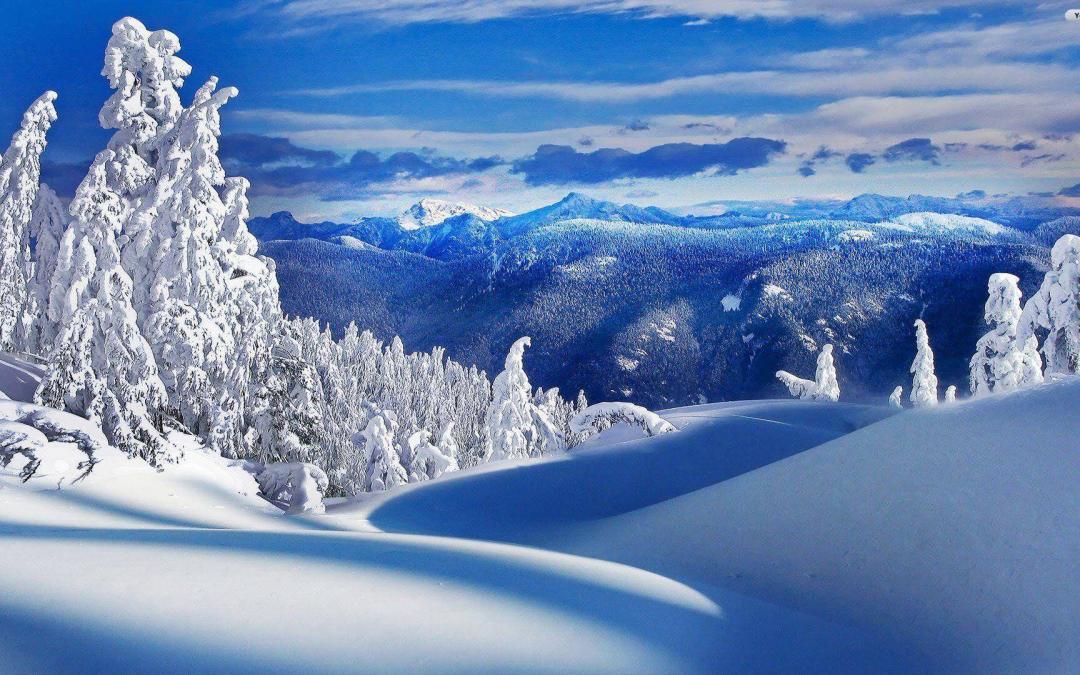 Daydreams of Winter