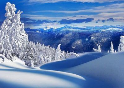 Daydreams of Winter