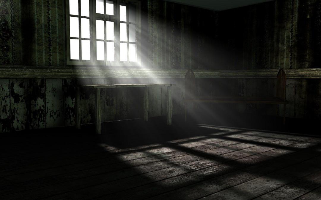 Light in the Attic
