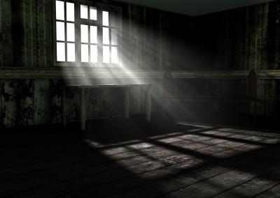 Light in the Attic