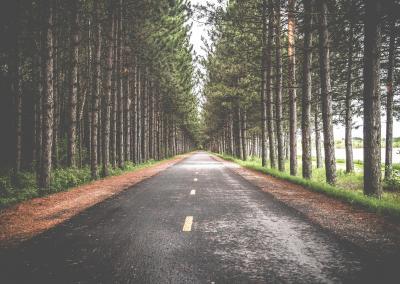 The Long Road Home