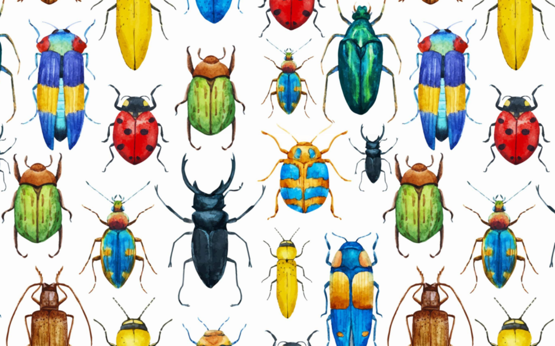 It’s Tough to be a Bug!