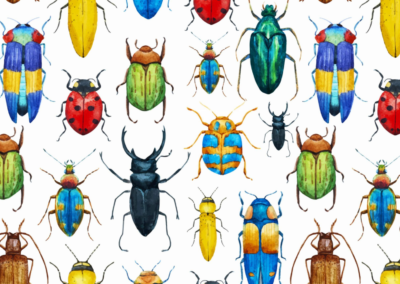It’s Tough to be a Bug!