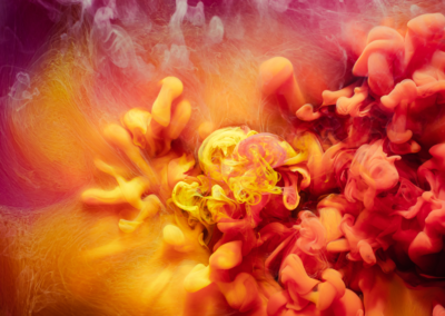 Spices, Perfumes, & Toxins