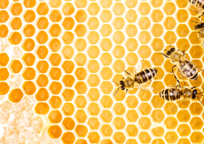 Swarm