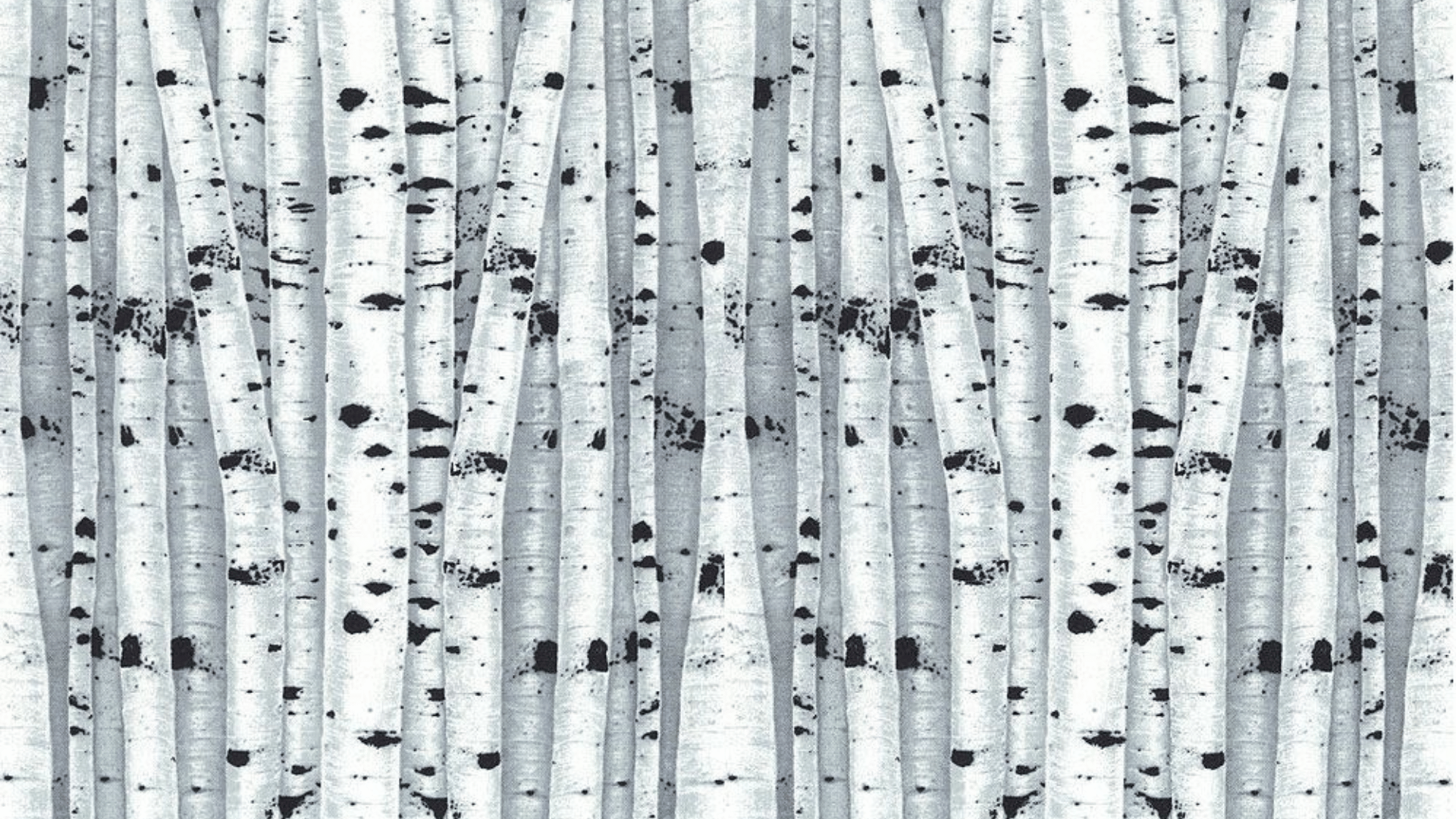 if-a-tree-falls-evan-vandoren-music