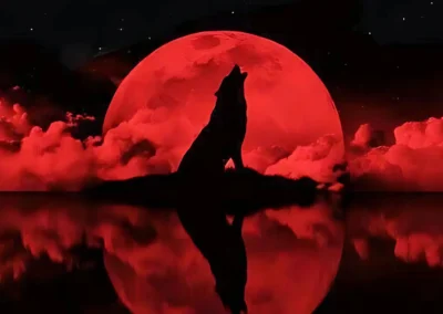 Moonlight’s Call